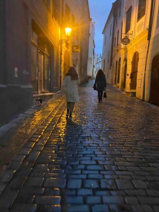 Unesco 14 Century Český Krumlov Eksteriør bilde